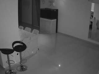 voyeurcam-casa-salsa-parlor