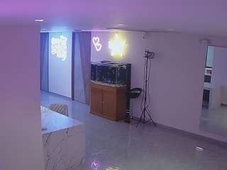 voyeurcam-casa-salsa-parlor