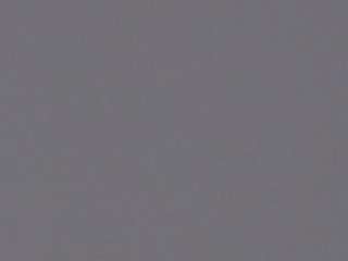 voyeurcam-casa-salsa-parlor