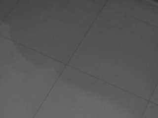 voyeurcam-casa-salsa-parlor