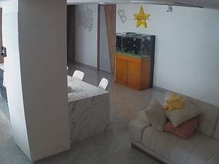 voyeurcam-casa-salsa-parlor