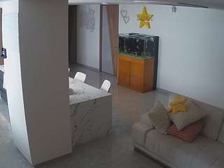 voyeurcam-casa-salsa-parlor