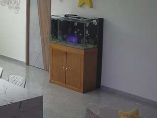 voyeurcam-casa-salsa-parlor webcam