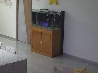 voyeurcam-casa-salsa-parlor live cam profile