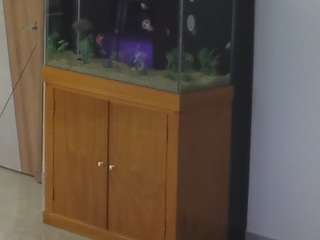 voyeurcam-casa-salsa-parlor Live Webcam on CamSoda