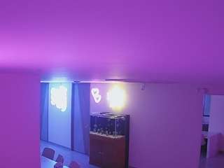 voyeurcam-casa-salsa-parlor