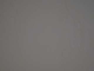 voyeurcam-casa-salsa-parlor