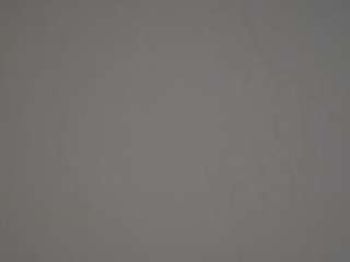 voyeurcam-casa-salsa-parlor