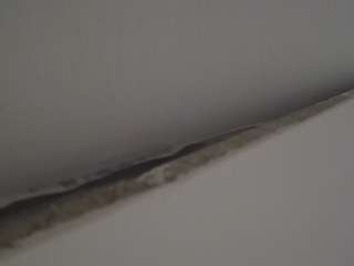 voyeurcam-casa-salsa-parlor