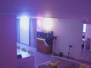 voyeurcam-casa-salsa-parlor