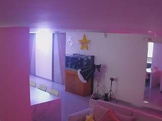 voyeurcam-casa-salsa-parlor