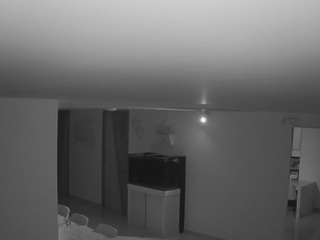 voyeurcam-casa-salsa-parlor