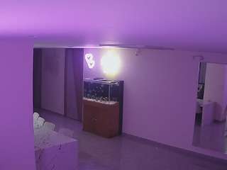 voyeurcam-casa-salsa-parlor