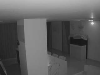 voyeurcam-casa-salsa-parlor