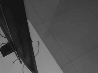 voyeurcam-casa-salsa-parlor