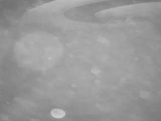 voyeurcam-casa-salsa-pool-1