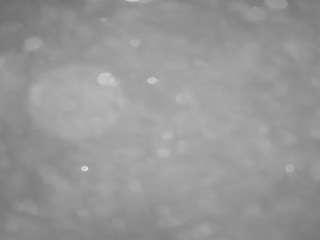 voyeurcam-casa-salsa-pool-1