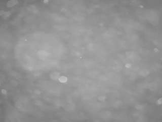 voyeurcam-casa-salsa-pool-1