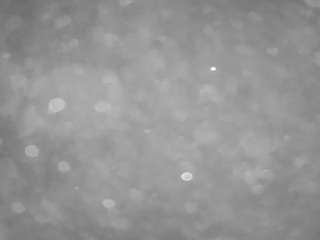 voyeurcam-casa-salsa-pool-1