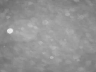 voyeurcam-casa-salsa-pool-1 webcam model