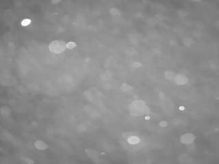 voyeurcam-casa-salsa-pool-1