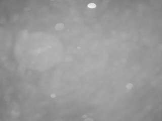 voyeurcam-casa-salsa-pool-1