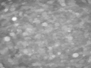 voyeurcam-casa-salsa-pool-1