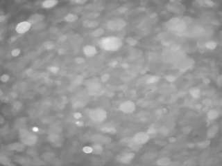 voyeurcam-casa-salsa-pool-1