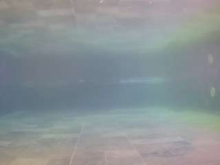 voyeurcam-casa-salsa-pool-1