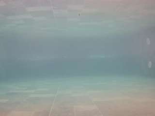 voyeurcam-casa-salsa-pool-1 webcam model