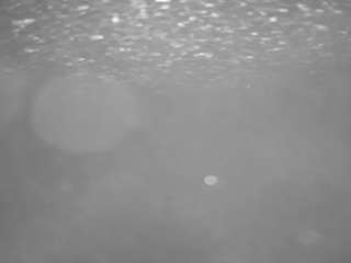 voyeurcam-casa-salsa-pool-1