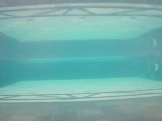 voyeurcam-casa-salsa-pool-1 webcam model