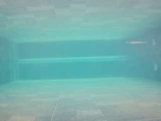 voyeurcam-casa-salsa-pool-1