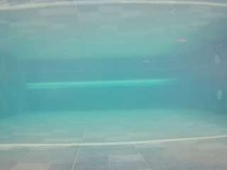 voyeurcam-casa-salsa-pool-1 Live Webcam on CamSoda