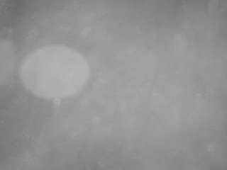 voyeurcam-casa-salsa-pool-1 Live Webcam on CamSoda