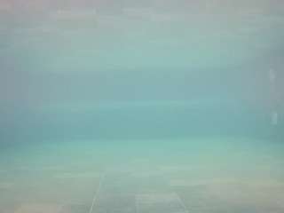 voyeurcam-casa-salsa-pool-1