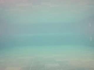 voyeurcam-casa-salsa-pool-1