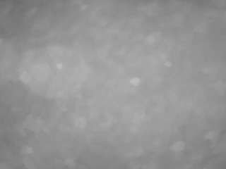 voyeurcam-casa-salsa-pool-1