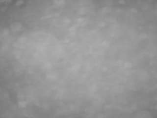 voyeurcam-casa-salsa-pool-1