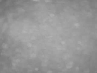 voyeurcam-casa-salsa-pool-1