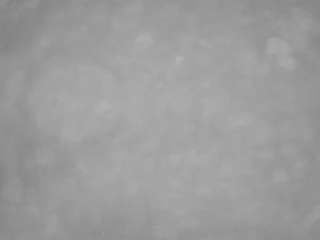 voyeurcam-casa-salsa-pool-1
