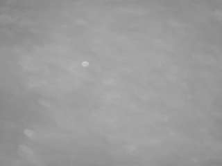voyeurcam-casa-salsa-pool-1