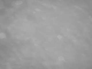voyeurcam-casa-salsa-pool-1