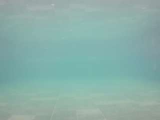 voyeurcam-casa-salsa-pool-1