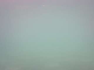 voyeurcam-casa-salsa-pool-1's Info Image