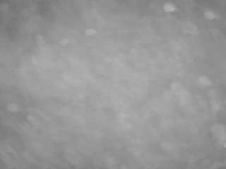 voyeurcam-casa-salsa-pool-1