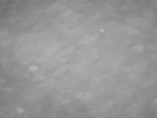 voyeurcam-casa-s... Live Webcam on CamSoda