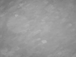 voyeurcam-casa-s... Live Webcam on CamSoda