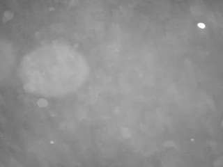 voyeurcam-casa-s... Live Webcam on CamSoda