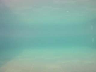 voyeurcam-casa-salsa-pool-1